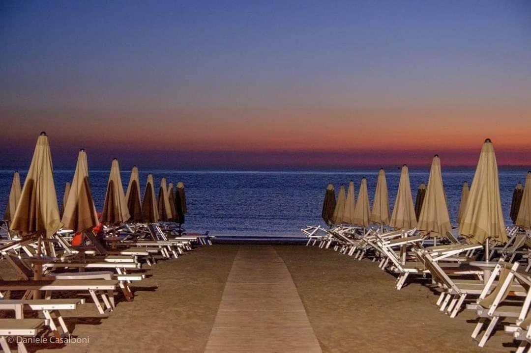 Alexandra Plaza Hotel Riccione Exteriör bild